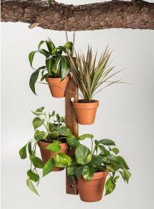 4 Pot Hang Plant Holder DIY Gardening Cutest Home Garden Decor Ideas